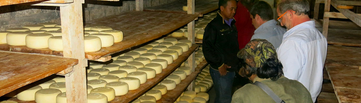 Cheese refining (Madagascar), © E Vall 