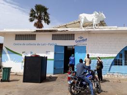 Senegal, Milk collection centre, © E Vall,Cirad