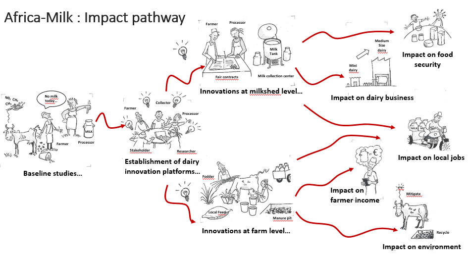 Africa-Milk : Impact pathway